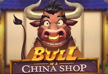 Bull in a China Shop